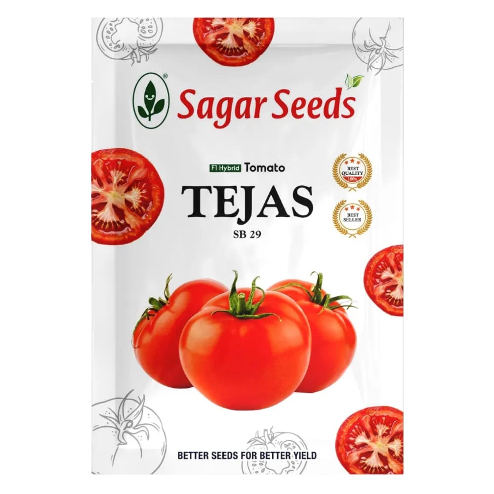 Sagar TEJAS F1 Hybrid Tomato Seeds, Firm Fruits, Ideal For Kharif and Rabi Seasons (3000 Seeds Pack)