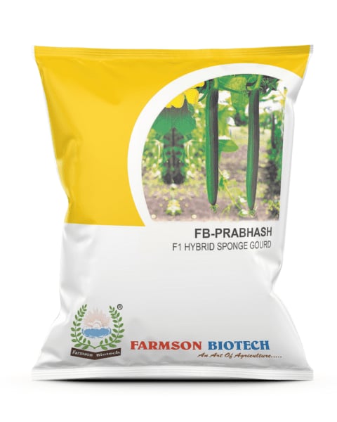 Farmson FB Prabhas F1 Hybrid Sponge Gourd Seeds, Light Green Good Vigorous Plant
