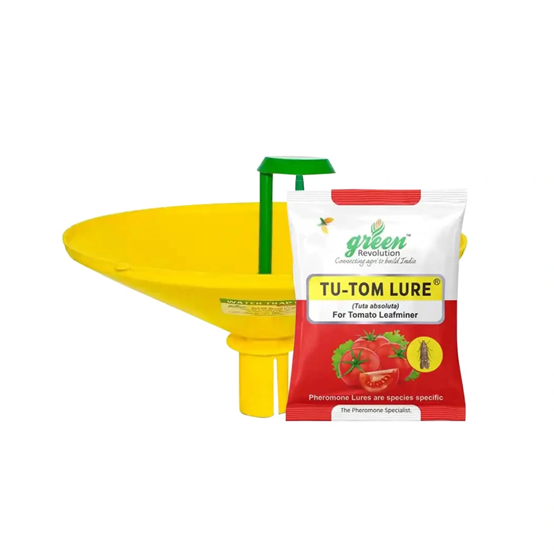 Water Pheromone Trap With TU-TOM Pheromone Lure (Tuta Absoluta ,Tomato Leafminer) for Tomato, Cherry Tomato, and Potato.
