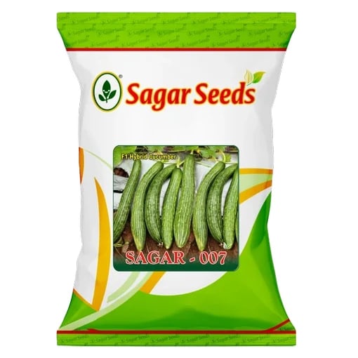 Sagar 007 F1 Hybrid Cucumber Seeds, Dark Green, Cylindrical, Best Suited For Summer Season