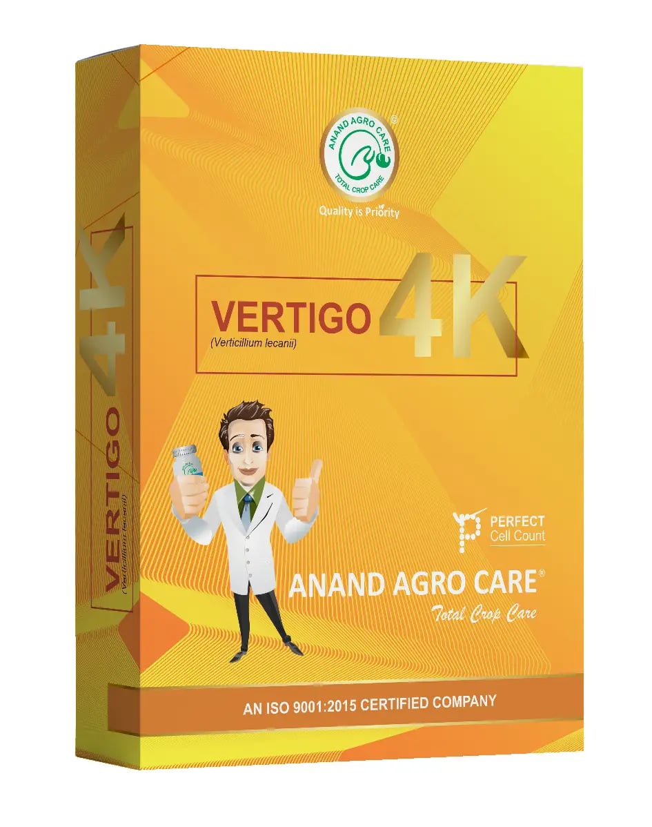 Dr. Bacto\'s Vertigo 4K Biological Insecticide, Containing Verticillium Lecanii 1.15% WP Based on Dextrose Base Technology