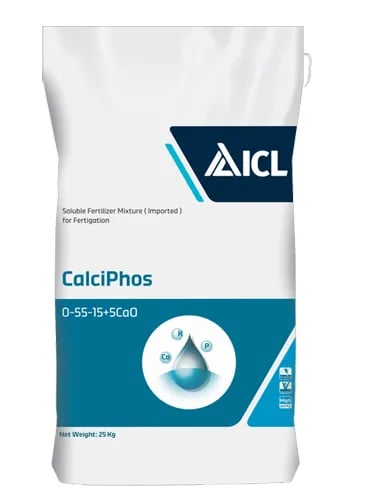 ICL CalciPhos 0-55-15+5CaO Water Soluble Fertilizer For Root and Yield
