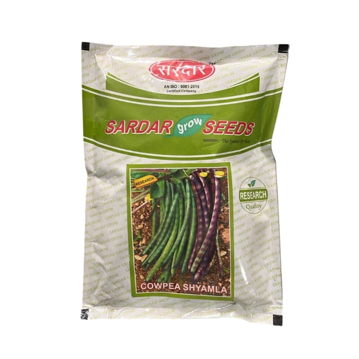 Sardar Shyamla Cowpea Seeds, High Yield, Brown Grains, For Rainy and Mid Season