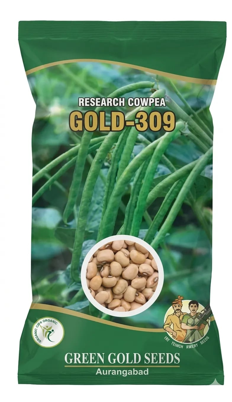 Green Gold Research Cowpea Seeds Gold 309