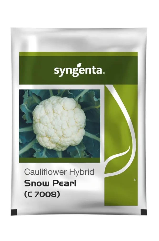 Syngenta Snow Pearl C7008 Cauliflower Hybrid Seeds Early White Curd