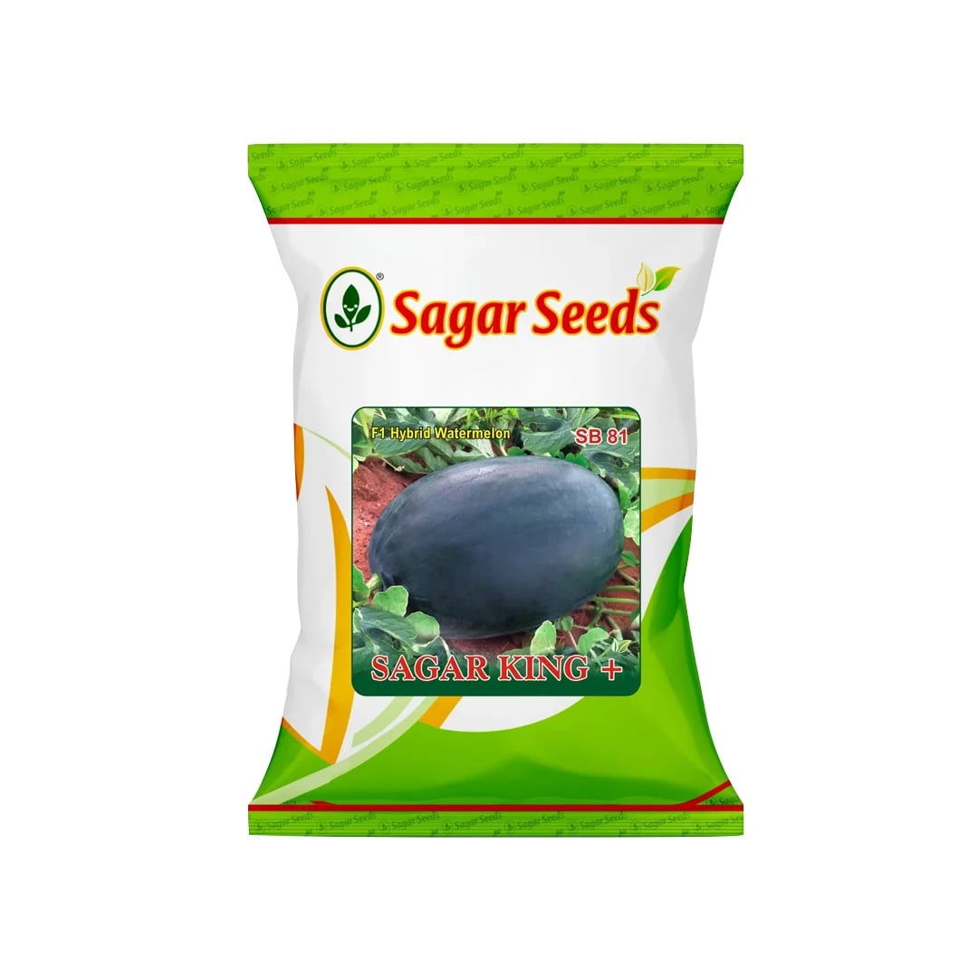 Sagar King Plus Watermelon Seeds - (Tarbuj Seeds) Oval Shape, Ice Box Segment, For All Seasons