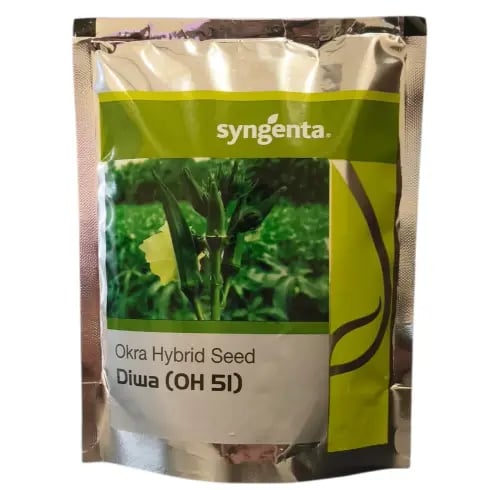 Syngenta DIWA OH 51 Hybrid Okra Seeds