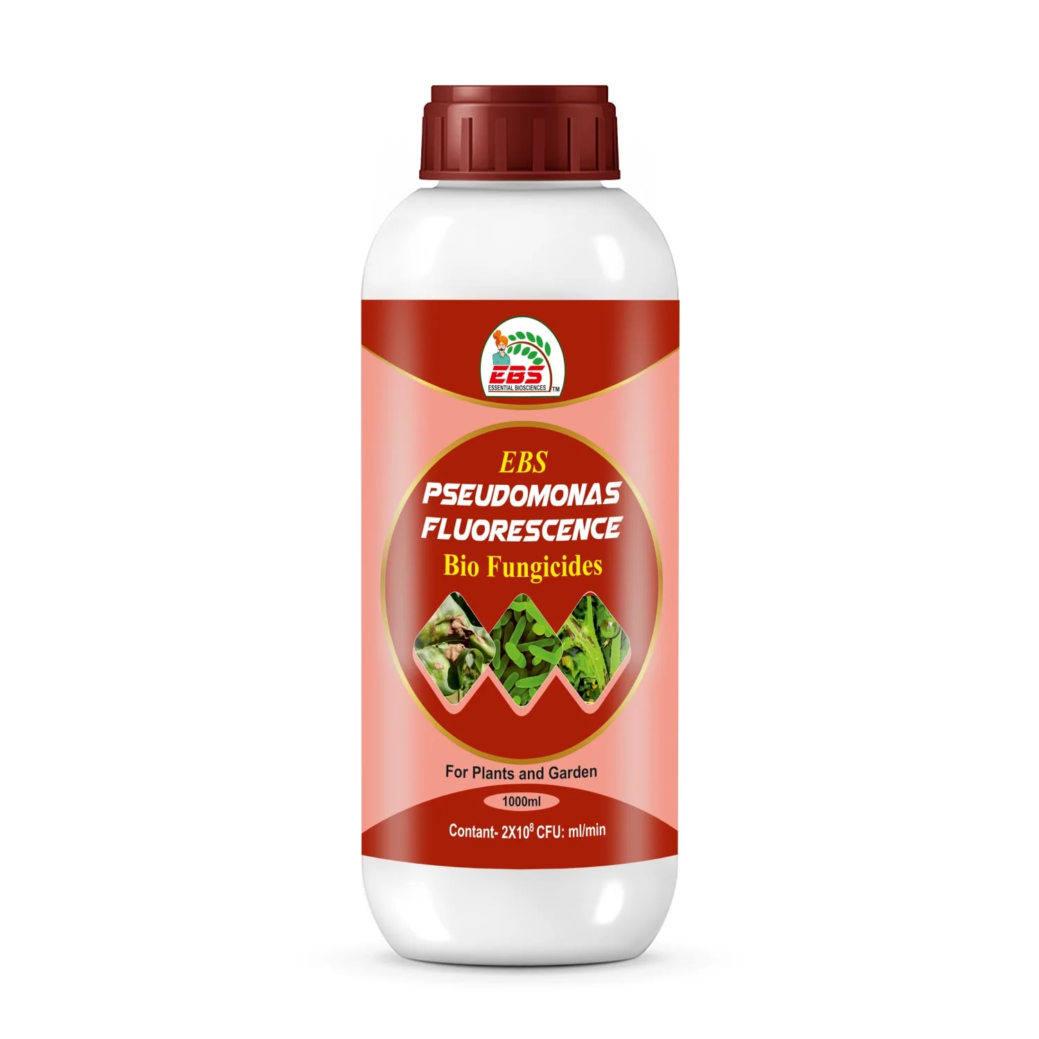 EBS Pseudomonas Fluorescence Bio Fungicide, Controlling Diseases Like Root Rot, Stem Rot, Collar Rot On All Crops