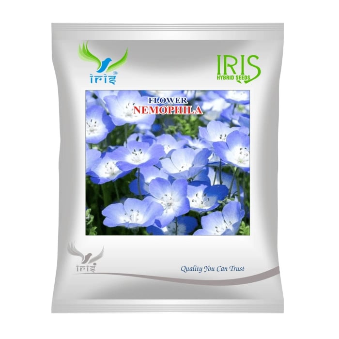 Iris Nemophila Mix Hybrid OP Flower Seeds, Imported, Small Mixed Colour Flowers, Long Flowering Cut Variety