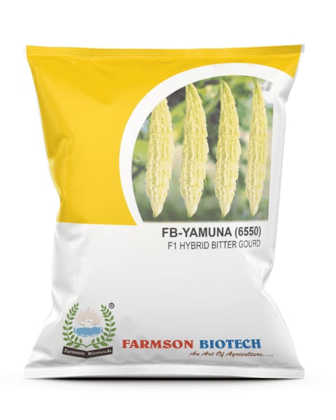 Farmson FB-Yamuna (6550) Bitter Gourd Seeds - Karela Seeds