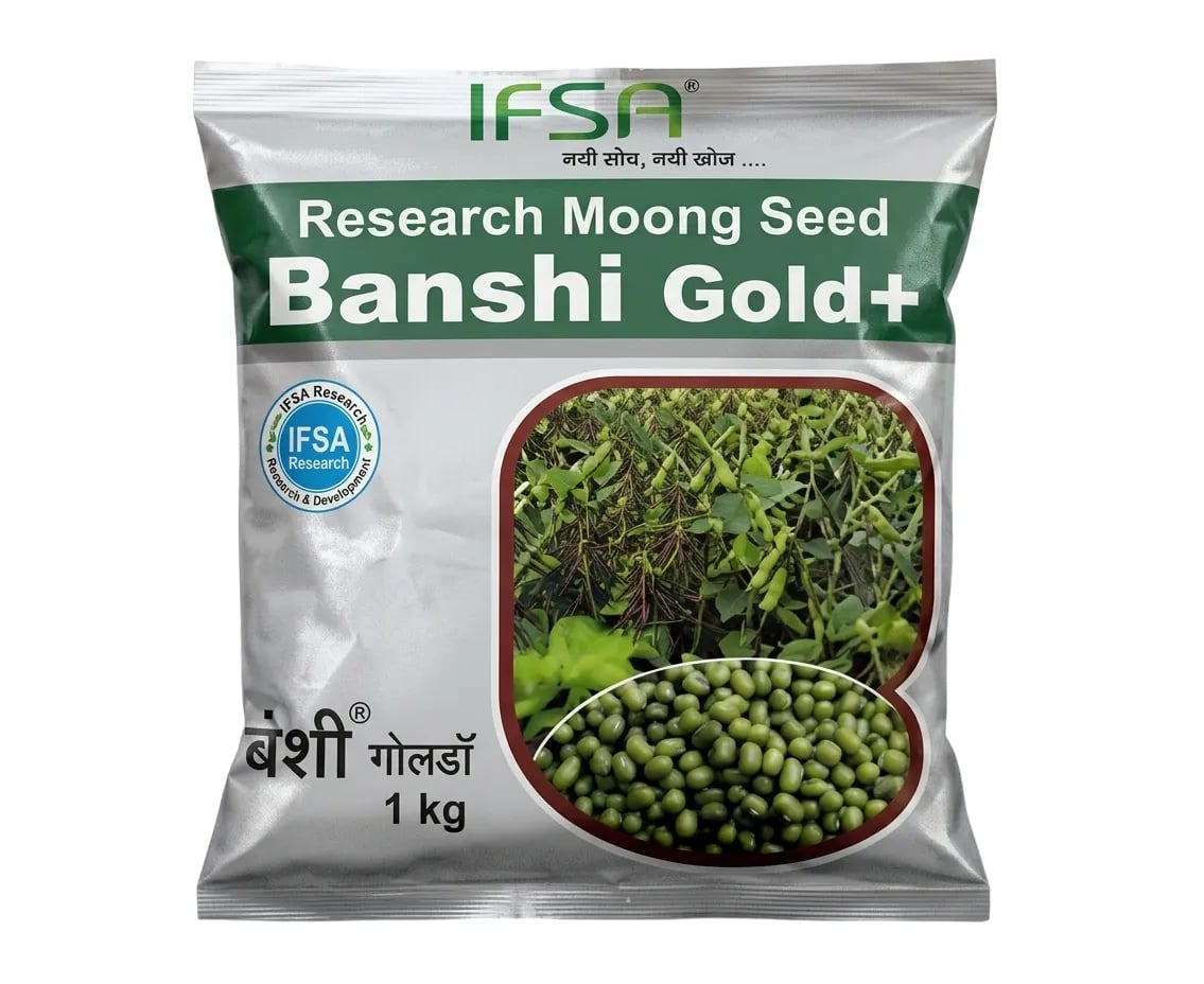 IFSA Banshi Gold Plus Research Moong Seeds Early Maturity High Yield Variety
