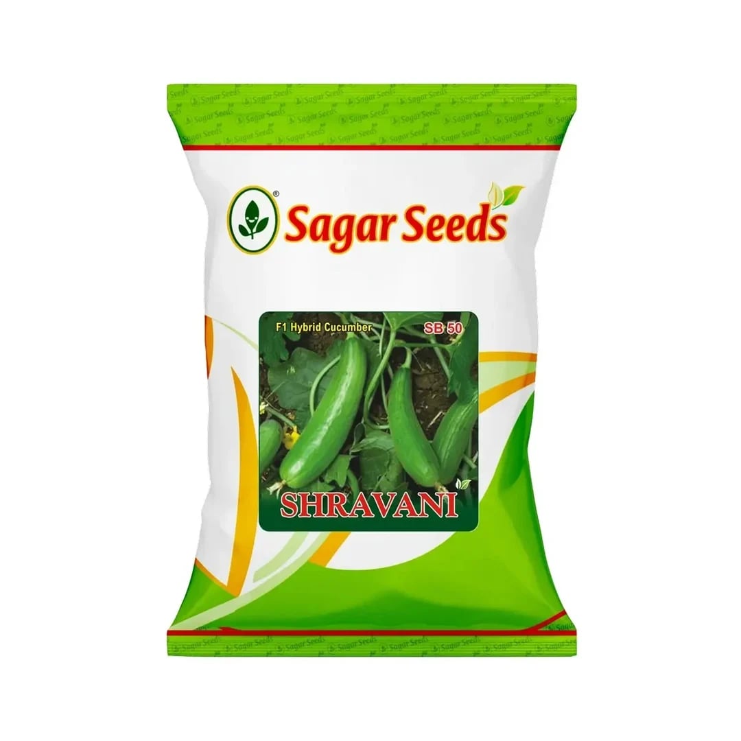 Sagar Shravani F1 Cucumber Seeds, High Yielding, Summer And Kharif Green Fruit