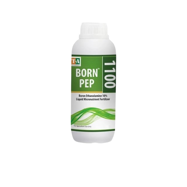Titan Agritech BORN PEP 1100 (Boron 11%), Liquid Micronutrient Fertilizer for Healthy Growth of Vegetable Plants and Garden, Water Soluble Product