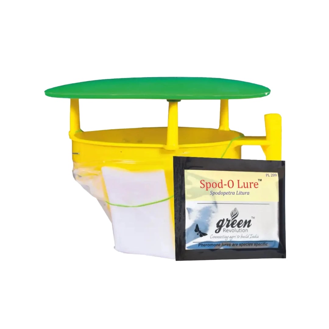 Funnel Trap with Spodo O Lure (Spodoptera Litura Pheromone) For Tobacco, Cotton, Red gram, Tomato and Chilli.