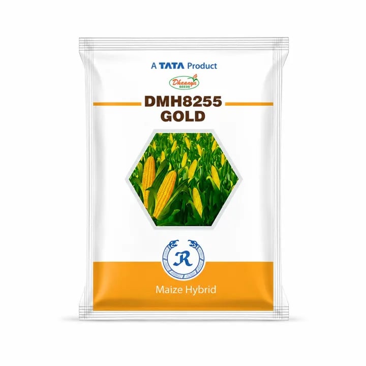 Tata 8255 Gold Hybrid Maize Seed