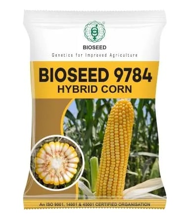 Bioseed 9784 Hybrid Corn Seeds, Maize Variety Suitable For Multiple Seasons