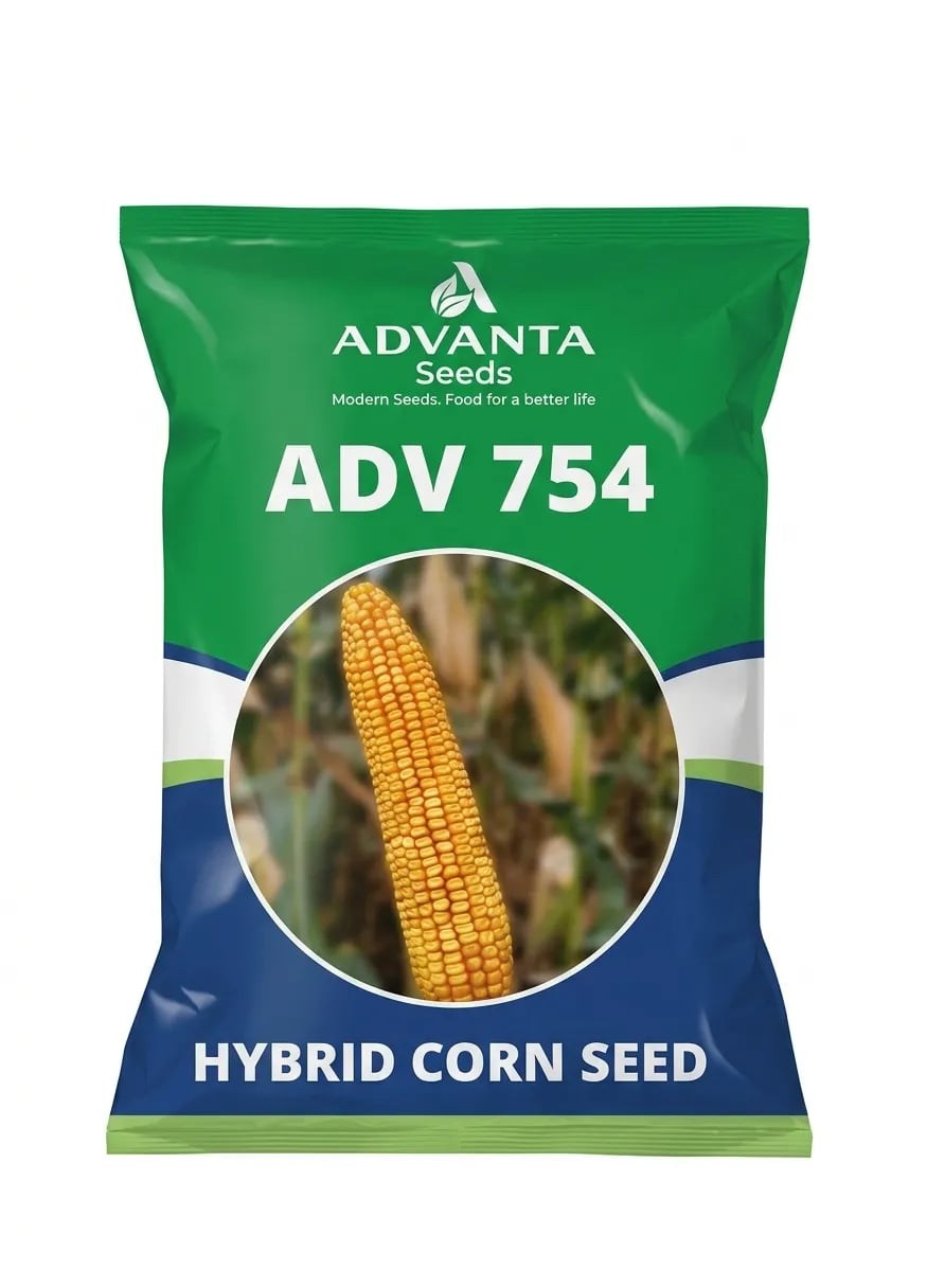 Advanta ADV 754 Hybrid Corn Seeds Maize Seeds For Better Productivity