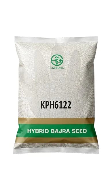 Kaveri Seeds KPH 6122 Hybrid Bajra Seeds Pearl Millet Seeds