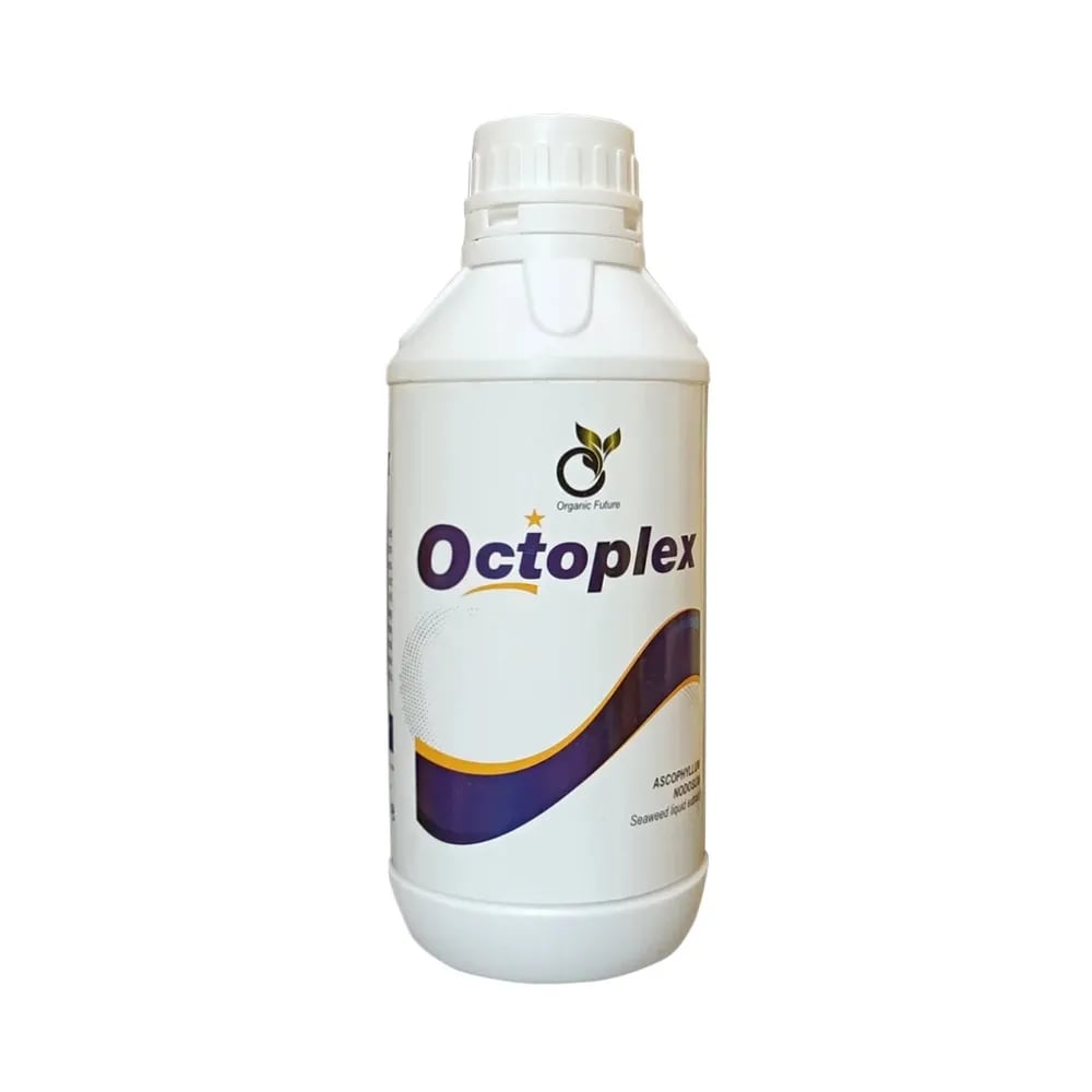 Octopus Octoplex Seaweed Extract 57%, Liquid Boost Root Growth & Improve Plant Health