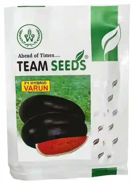 Team Seeds Varun Watermelon Seeds