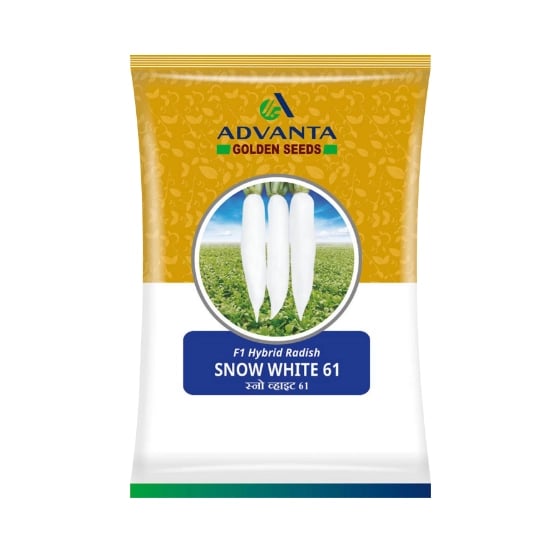 அட்வான்டா ஸ்னோ ஒயிட் 61 F1 ஹைப்ரிட் முள்ளங்கி விதைகள், மென்மையான பாலக் போன்ற இலைகள் மற்றும் முன்கூட்டிய முதிர்ச்சி