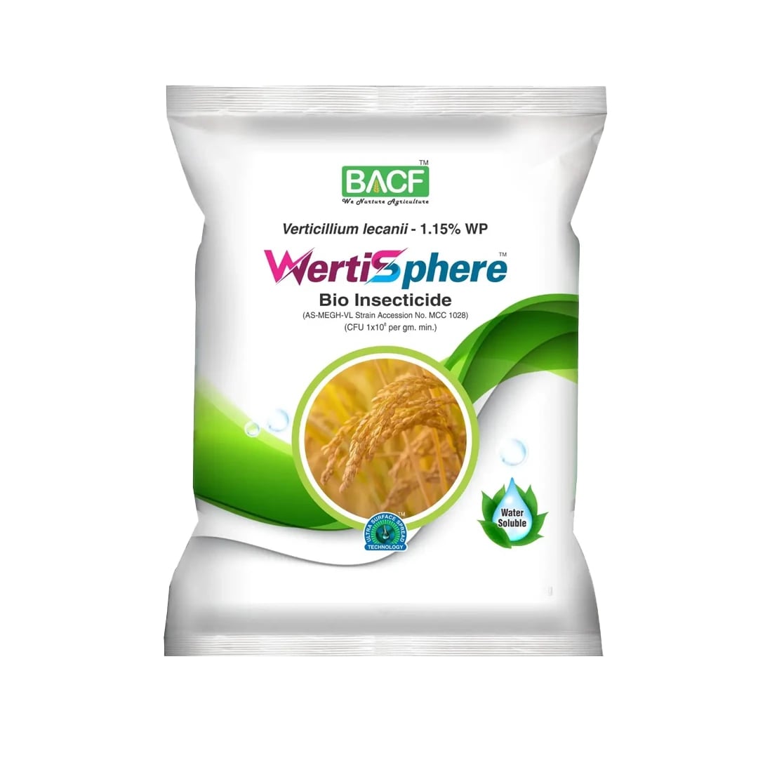 BACF Wertisphere Verticillium Lecanii 1.15% WP, 1 x 10^8 CFUs Per gm. min Based On A Beneficial Entomophagous Fungus Verticillium Lecanii