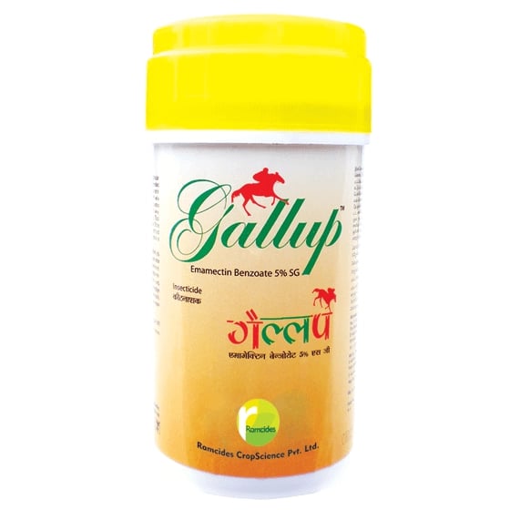 Ramcides Gallup Insecticide