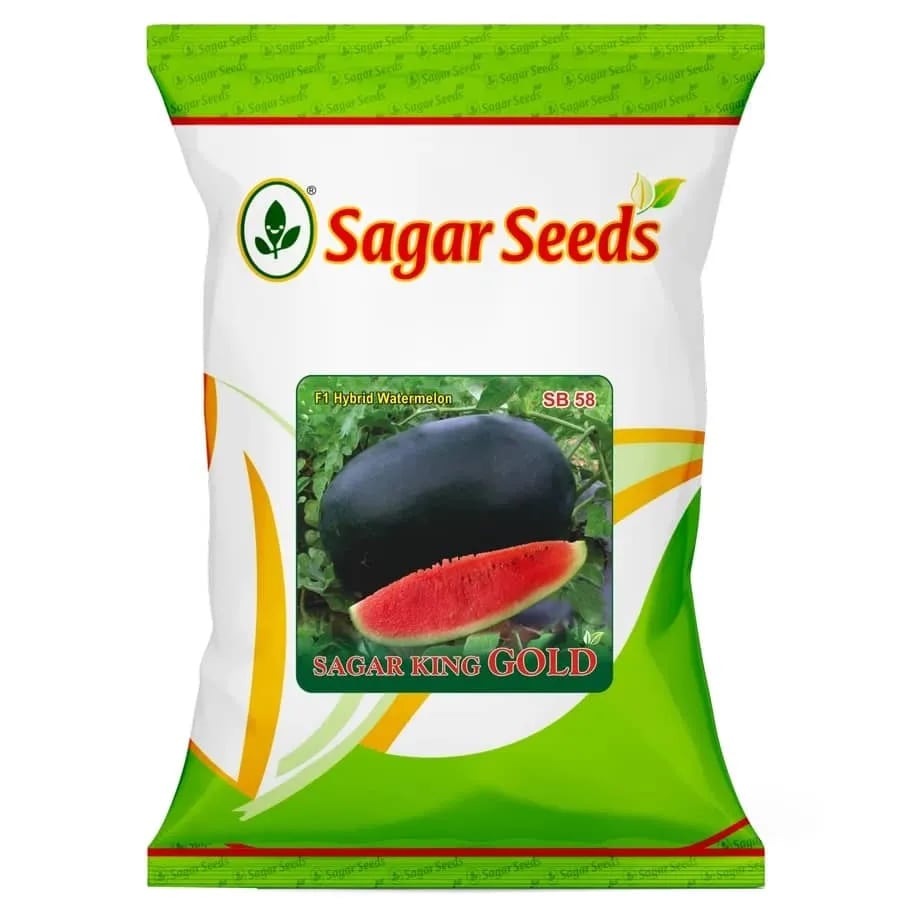 Sagar King Gold F1 Watermelon Seeds, Dark Black Skin, High Sweetness, Suitable For Round The Year Cultivation