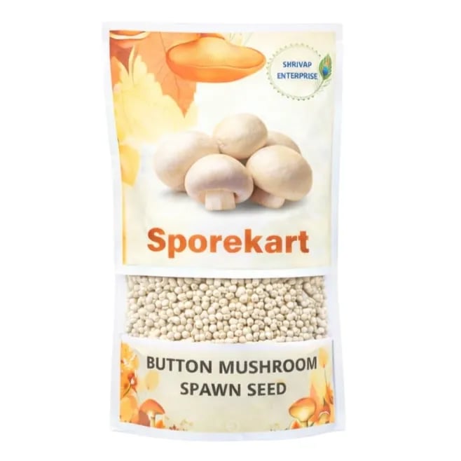 SporeKart Button Mushroom Spawn