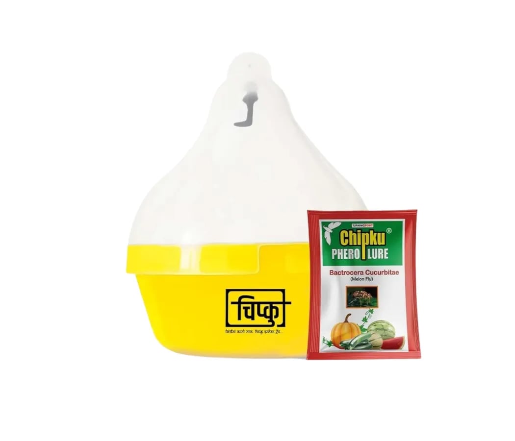 Chipku Pheromone Mac Phill or Max Plus Trap With Melon Fly Lure (Bactrocera Cucurbitae) Weather Proof Long Lasting, For Melons, Cucumber, Tomato.