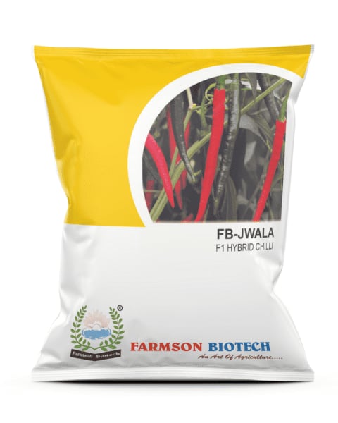 Farmson FB-Jwala Mirchi Seeds  - (Chilli Seeds) High Yield, Disease Tolerant