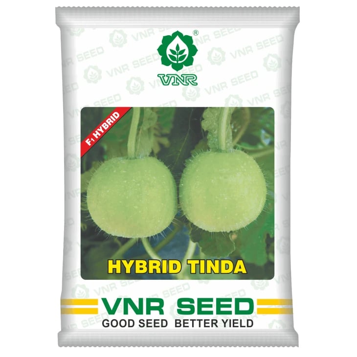 VNR Tinda Seeds (Round Melon) Seeds