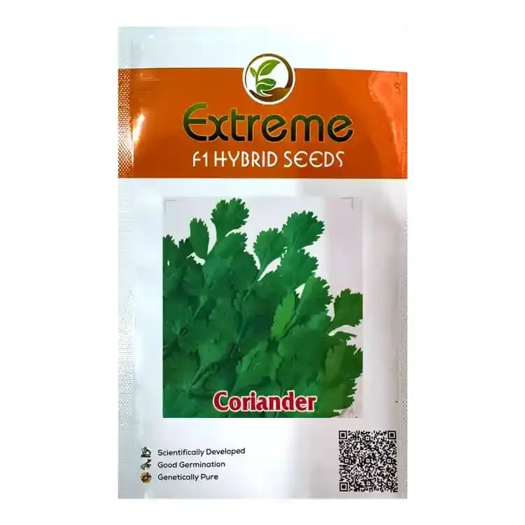 Extreme Sugandh F1 Hybrid Coriander Seeds, Suitable For Multiple Cut, Dark Green Foliage Color