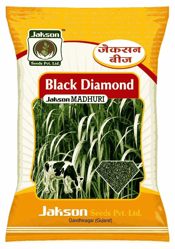 Jakson Black Diamond Madhuri Fodder Sorghum Seed