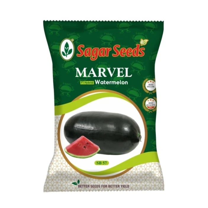 Sagar Marvel F1 Hybrid Watermelon Seeds, High Yield, Disease Resistant, Deep Red Flesh, Excellent Fruiting