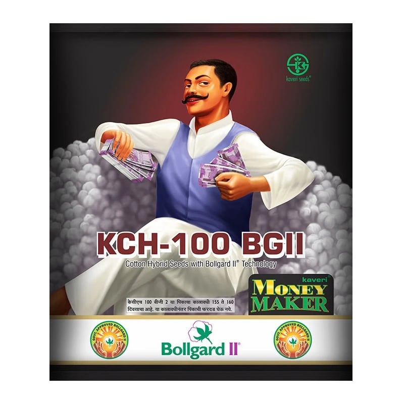 Kaveri Moneymaker Cotton Seeds (KCH-100 BGII) - Kapas Ke Beej, Good Boll Bursting & Reflushing (475 Gm)