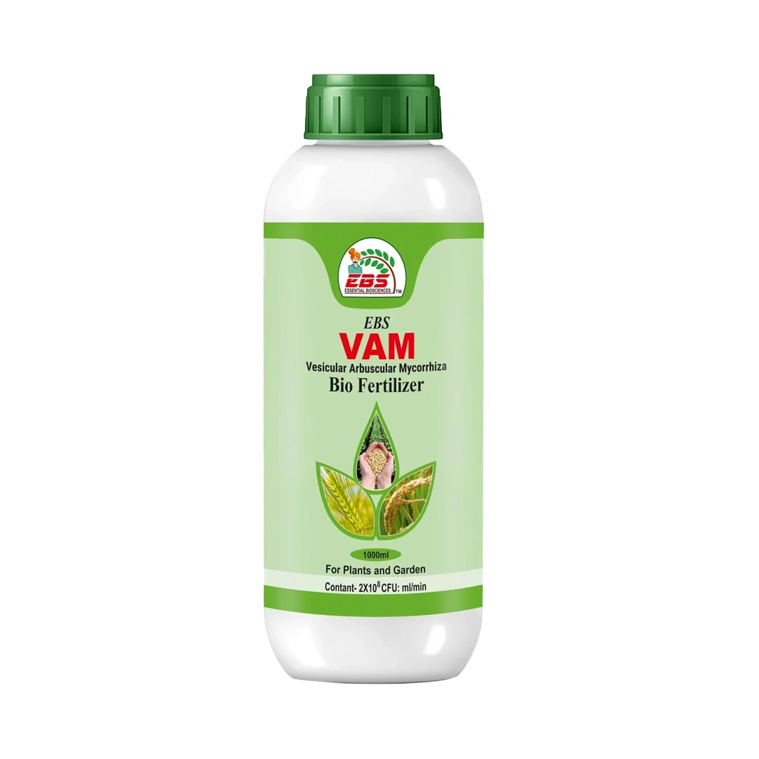 EBS VAM Bio Fertilizer (Vesicular Arbuscular Mycorrhizal) To Improve Soil Fertility In Your Farm & Garden