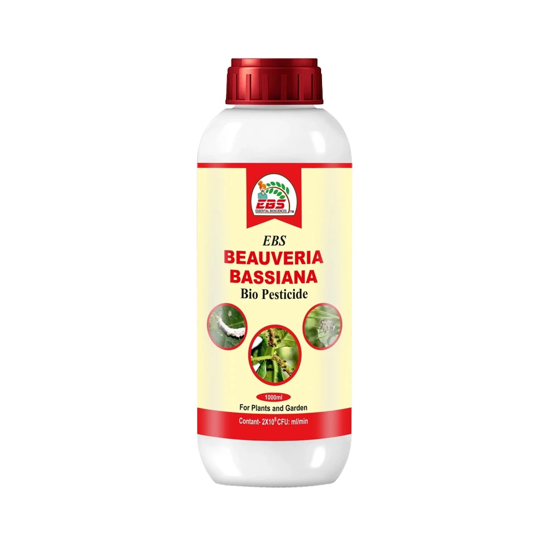 EBS Beauveria Bassiana Bio Pesticide, Effective Control Of Many Insect On All Crops And Plants