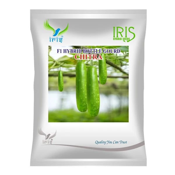 Iris CHITRA F1 Hybrid Bottle Gourd Seeds, Attractive Green, High Yield Variety