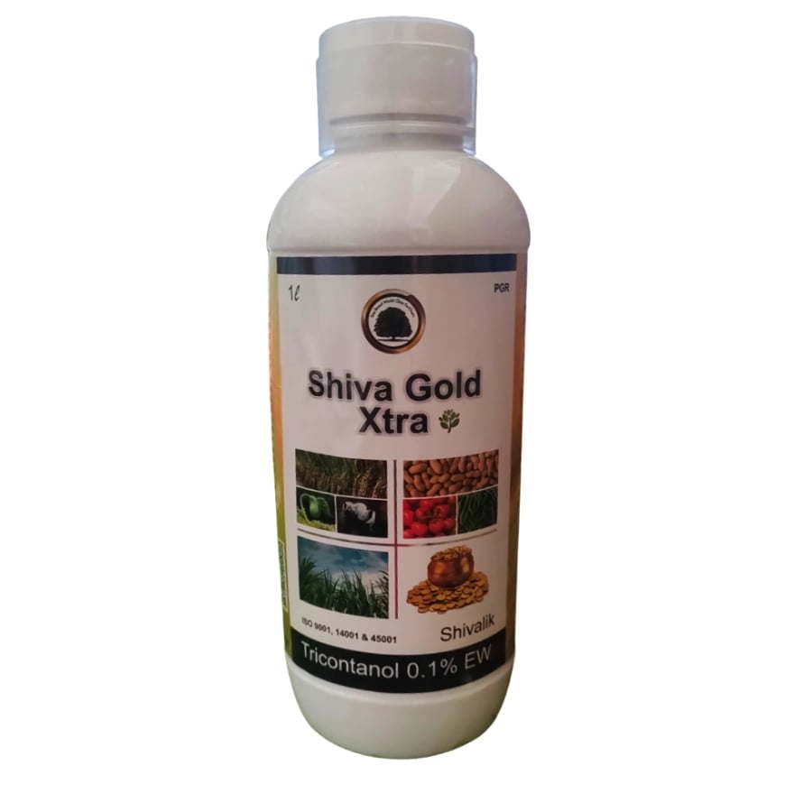 Shivalik Shiva Gold Xtra Tricontanol 0.1% EW Plant Growth Regulator, Increases Yield And Improves Crop Quality
