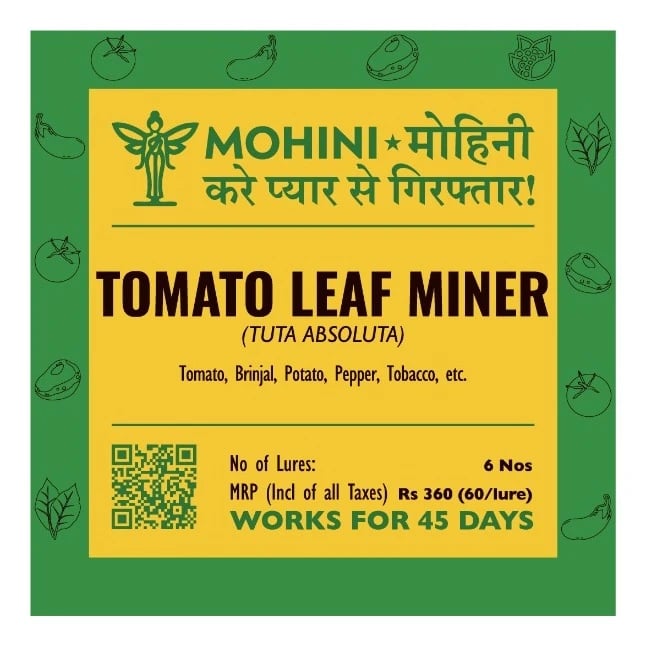 Biowall Mohini Tomato Leafminer Tuta Absoluta, Pheromone Lure For Effective Pest Control In Crops