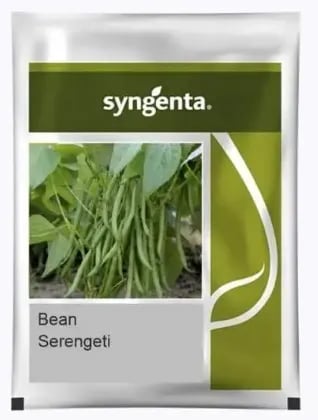Syngenta Beans Serengeti