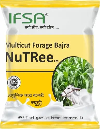 IFSA Multicut Forage Bajra Seeds NuTRee