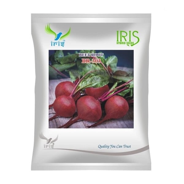 Iris BR-303 OP Beetroot Seeds, Imported, Dark Red Round Roots And High Yield