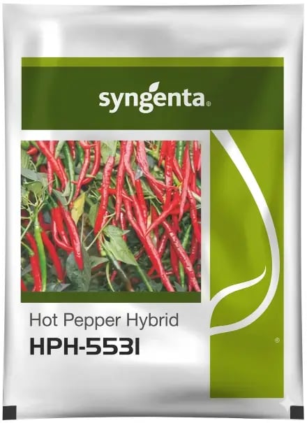 Syngenta HPH-5531 Hybrid Hot Pepper, High Yield Red Chilli Seeds