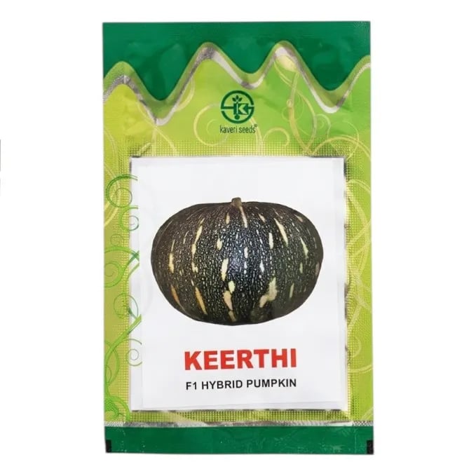 Kaveri Keerthi F1 Hybrid Pumpkin Seeds For Kharif and Summer Season
