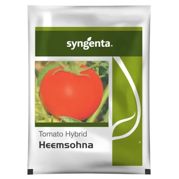 Syngenta Heemsohna Hybrid Tomato Seeds