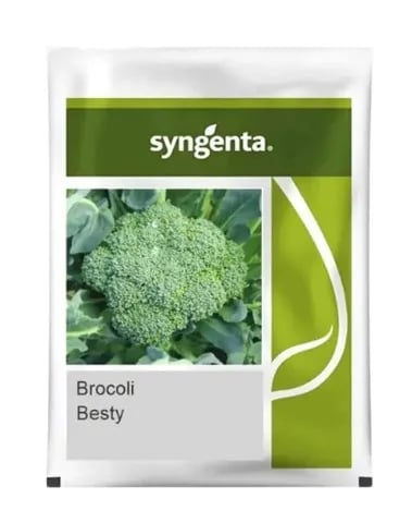 Syngenta Besty Brocoli Hybrid Seeds