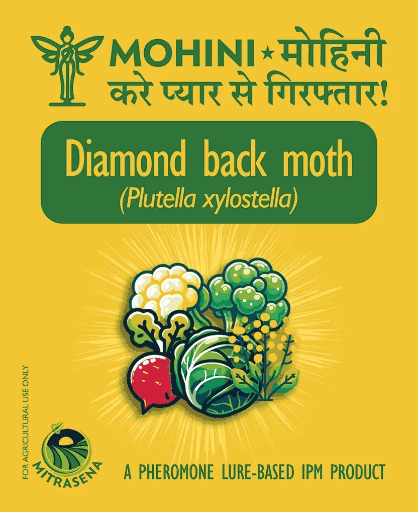 பயோவால் மோஹினி டயமண்ட்பேக் மாத் புளூட்டெல்லா சைலோஸ்டெல்லா, IPM மற்றும் மாஸ் ட்ராப்பிங்கிற்கான ஃபெரோமோன் லூர்