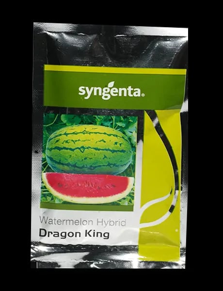 Syngenta Dragon King Hybrid Watermelon Seeds